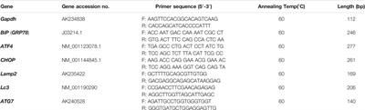 High Temperature Disrupts Organelle Distribution and Functions Affecting Meiotic Maturation in Porcine Oocytes